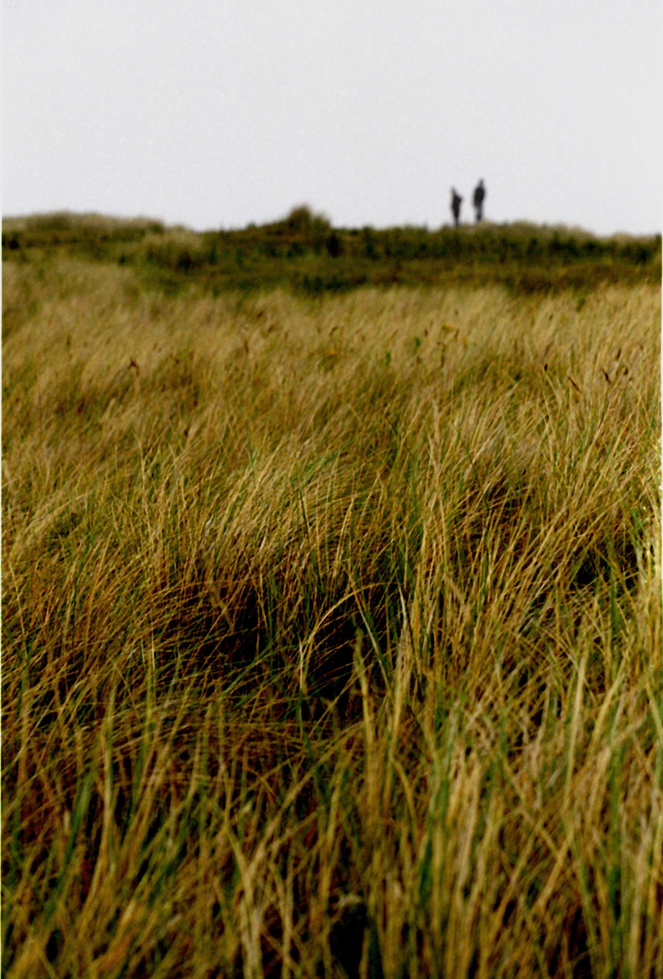 Two people standing on a grassy hill in the distance