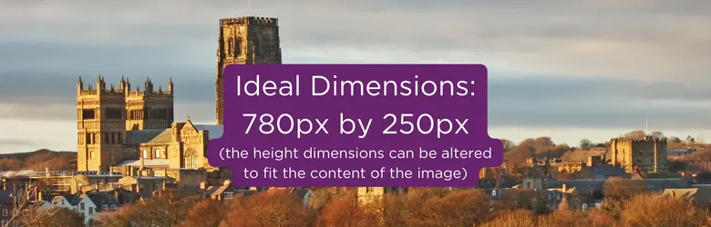 placeholder slim banner