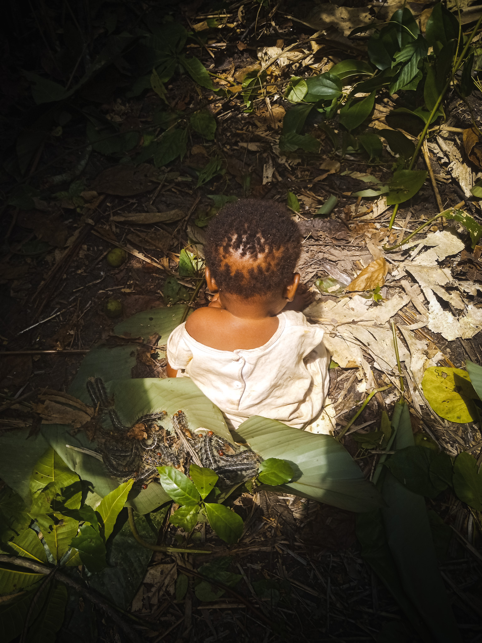 Back of child sat in forest