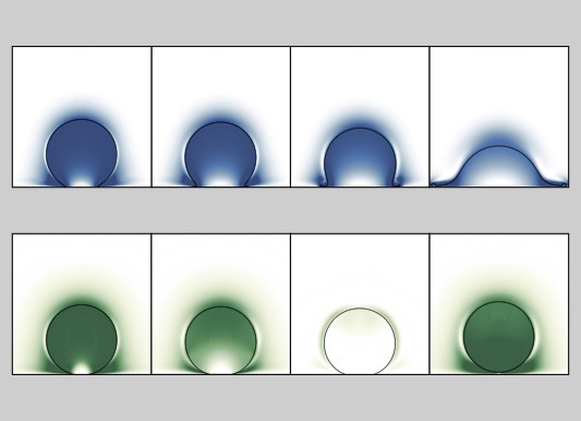 liquid and elastic drops hitting a surface