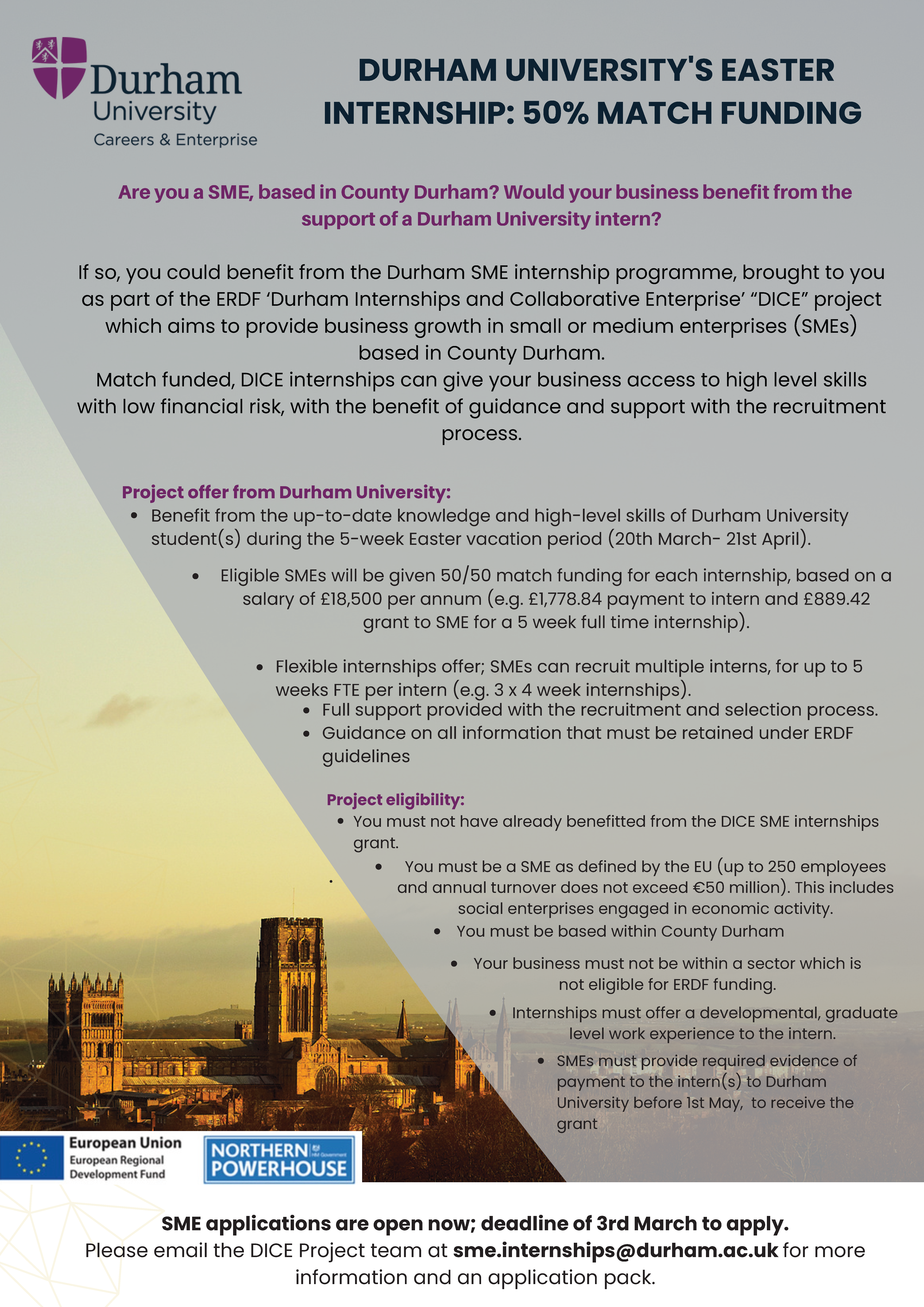 A Graphic detailing the Easter Match Funded Durham Internships Programme