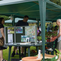 Shoppers browse for plants at a market stall at the Botanic Garden