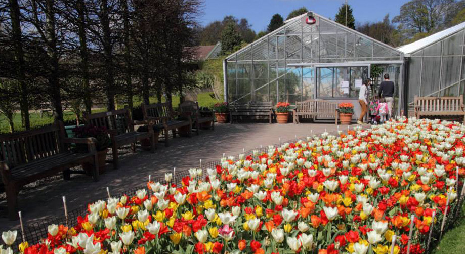 The Greenhouse Lawn at the Botanic Garden