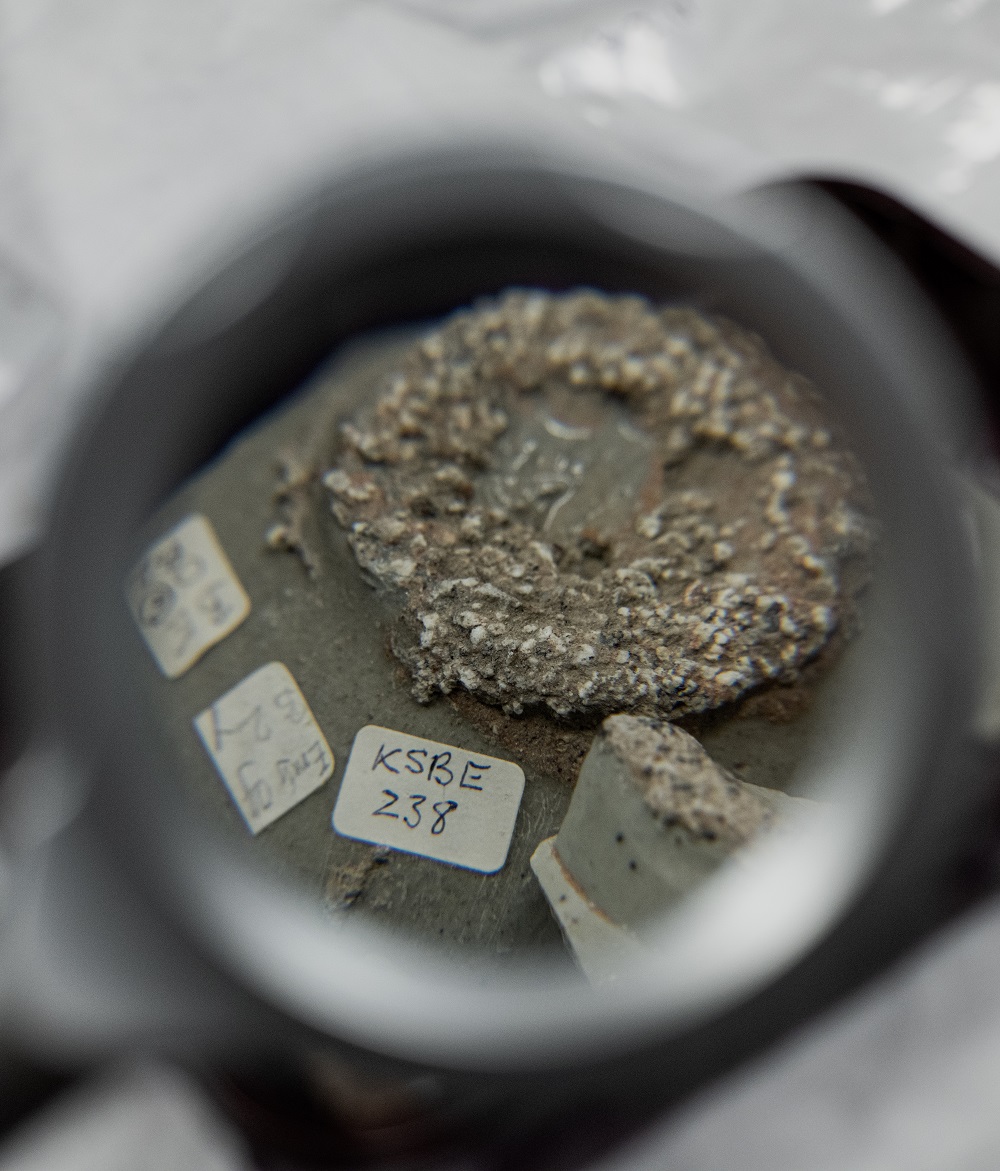 a pottery sherd with labels stuck to it viewed through a magnifying glass